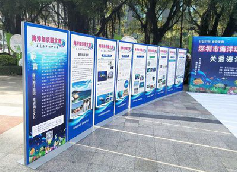 修水KT板的种类和知识。